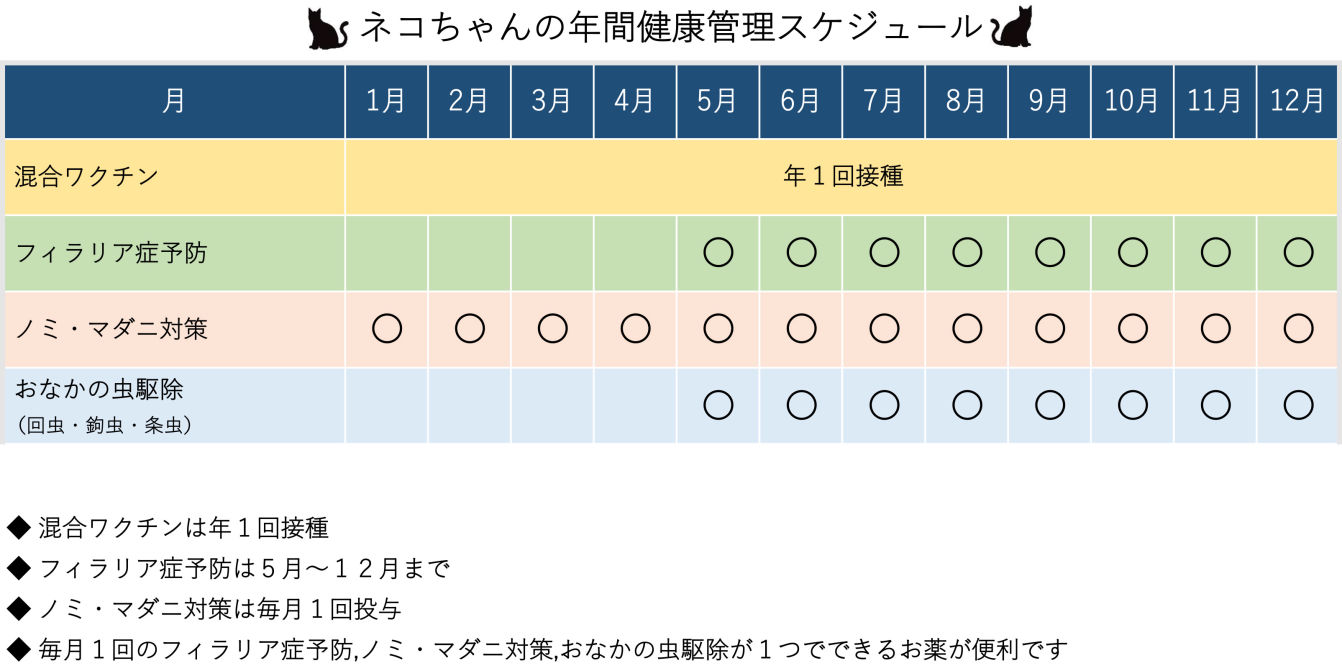 ネコちゃんの年間健康管理スケジュール表